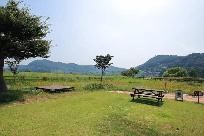 청양 동강리 오토캠핑장 · 레포츠