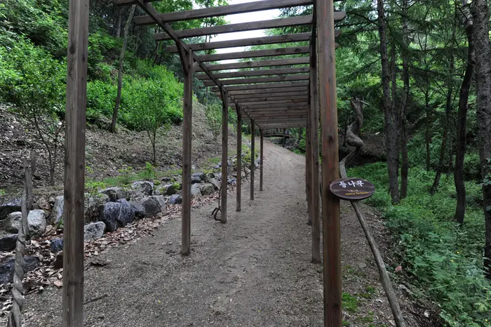 창안산산림욕장 · 관광지