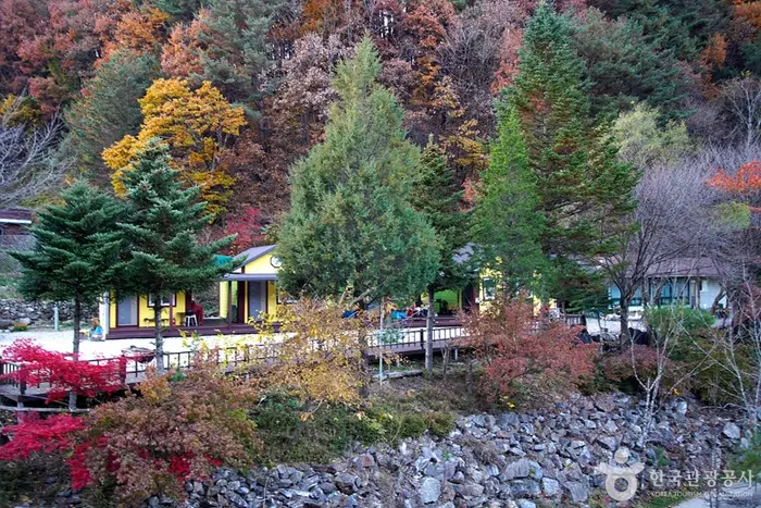 홍천 살둔마을 · 관광지