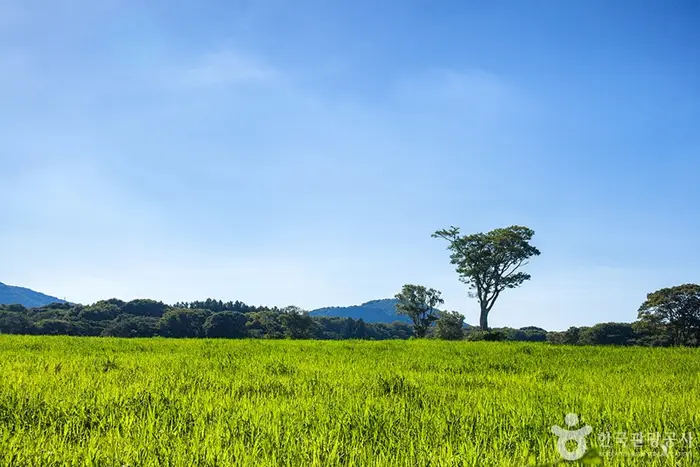 삼다수승마목장 · 레포츠