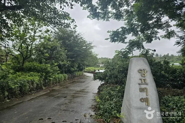 앙끄리에펜션 · 숙박