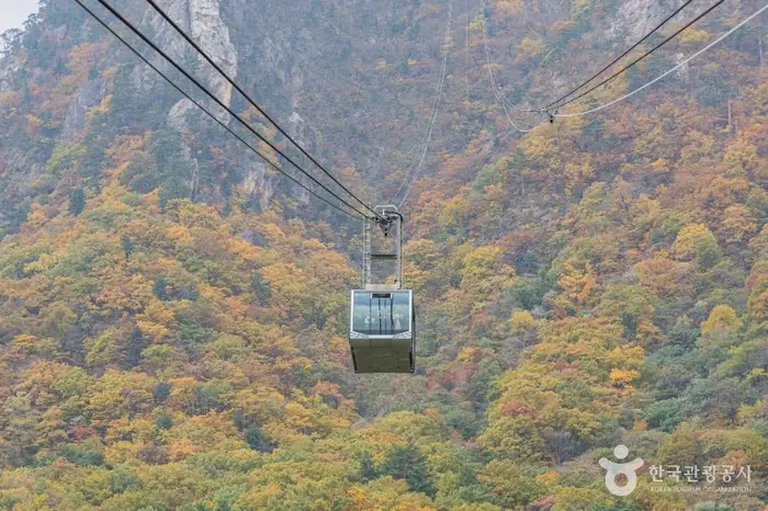 설악산 케이블카 · 관광지