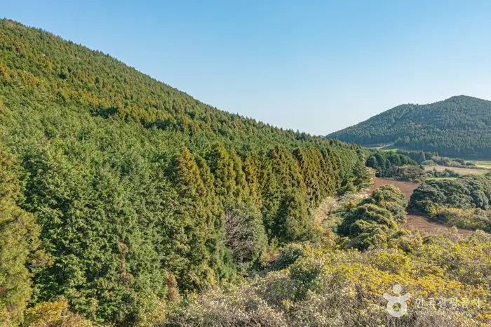 도리미오름 · 관광지