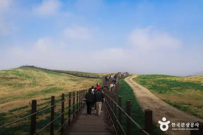 서산한우목장 웰빙산책로 · 관광지