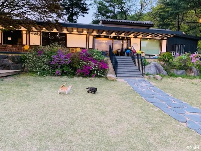 도선재 · 음식점