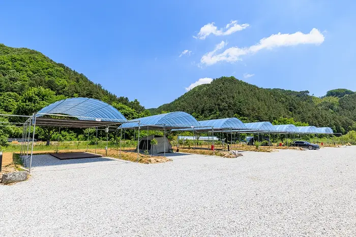 진악산오토캠핑장 · 레포츠