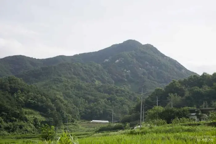 보해산(금귀봉) · 관광지