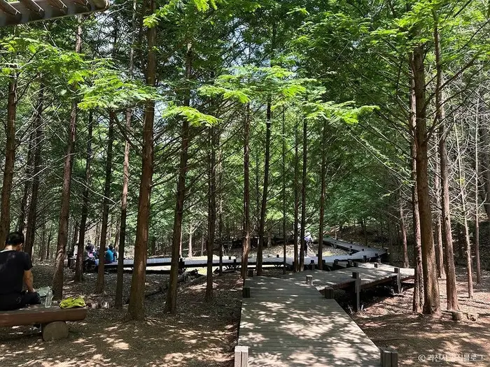 서울대공원 산림욕장 · 관광지