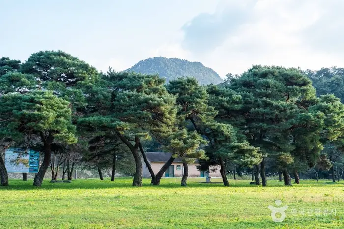 구송정 유원지 · 관광지