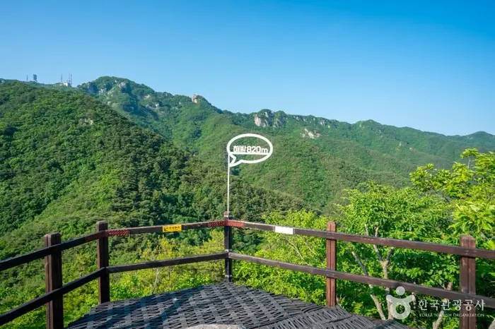 팔공산국립공원(동화사지구) · 관광지