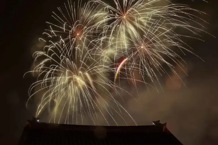 세종대왕과 초정약수축제 포스터 사진 6