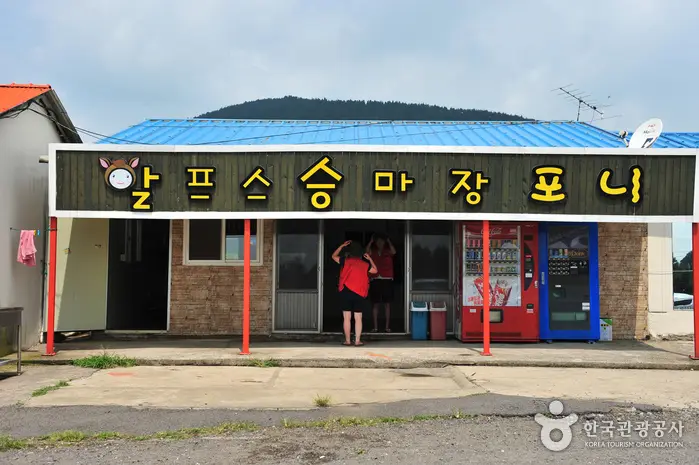 알프스제주 · 레포츠