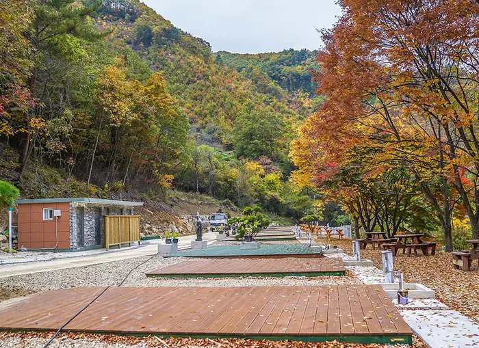 사계절 야영장 · 레포츠