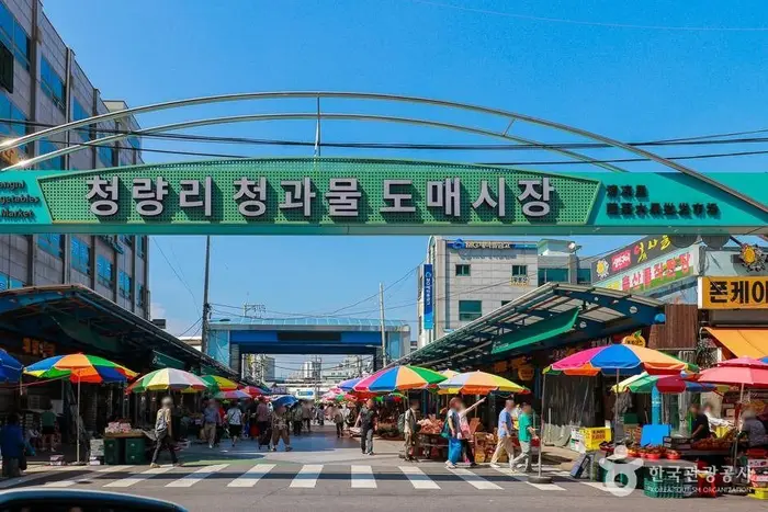 청량리청과물시장 · 쇼핑