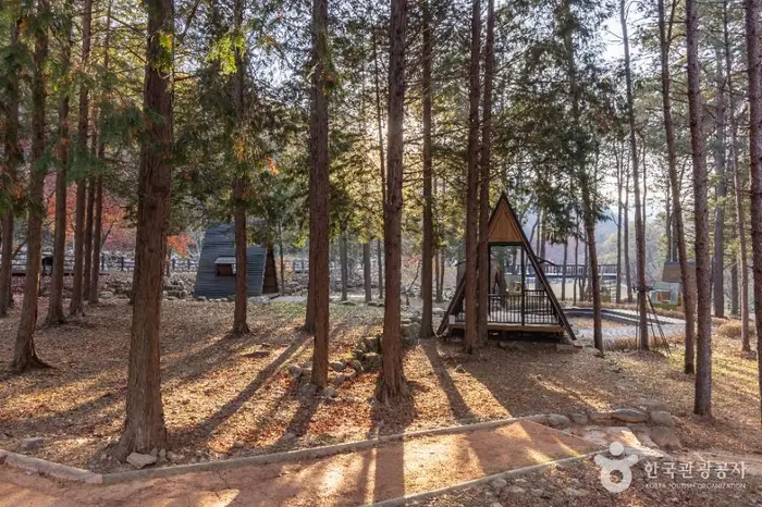 성수산 왕의숲 국민여가캠핑장 · 레포츠