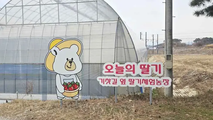 오늘의 딸기 · 관광지