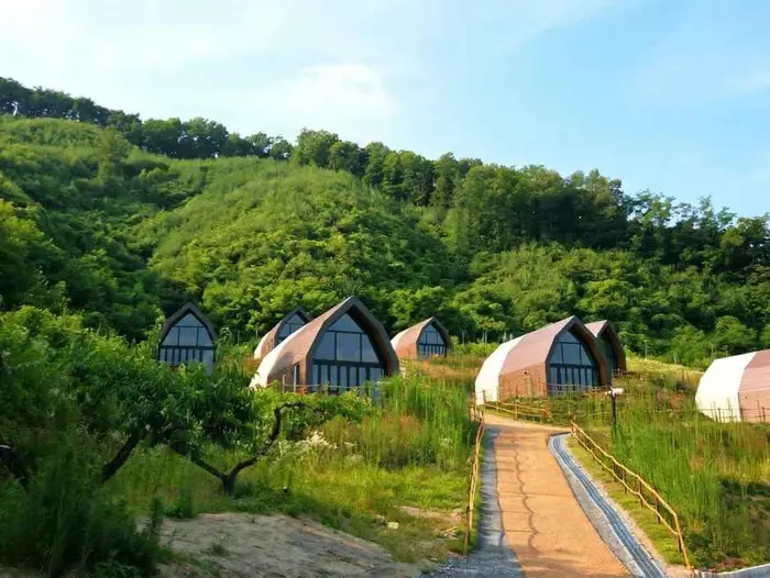 오차드블리스 · 레포츠