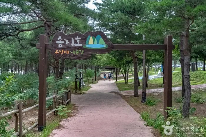 송지호둘레길 · 관광지