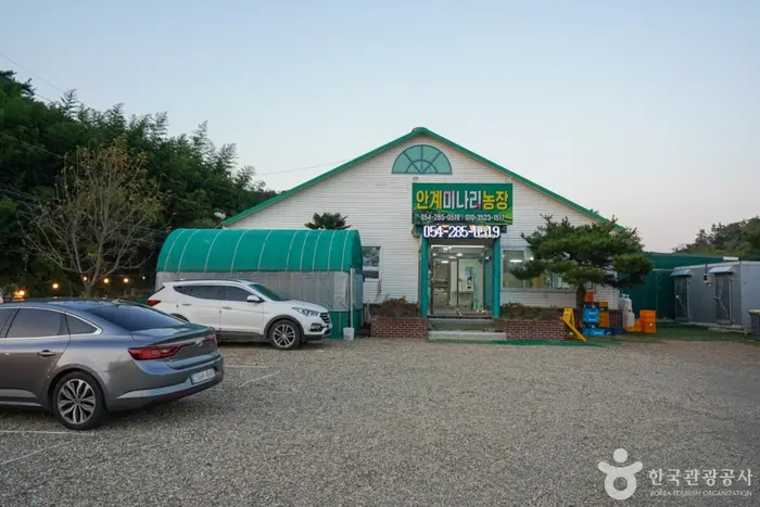 안계미나리농장 · 음식점