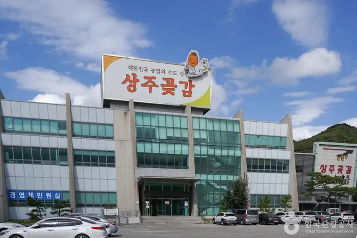 상주곶감유통센터 상주곶감직판장 · 쇼핑