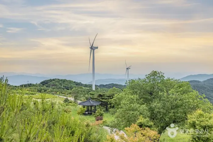 경주 풍력발전(바람의언덕) · 관광지