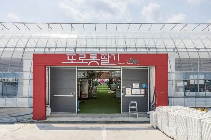 또로롱딸기 · 관광지