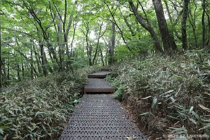 지리산국립공원(함양) · 관광지