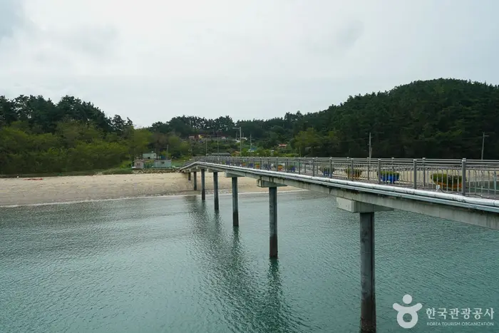 의항리 해상낚시공원 · 레포츠