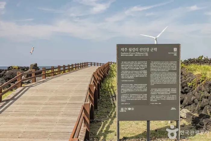 월령 선인장군락지 · 관광지