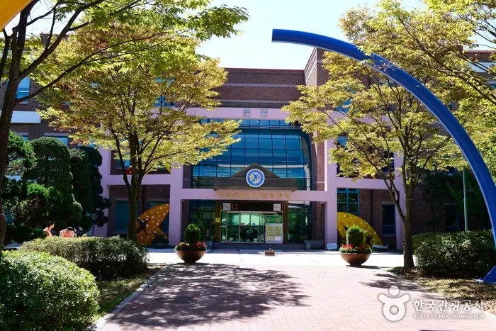 국립중앙청소년수련원 · 레포츠