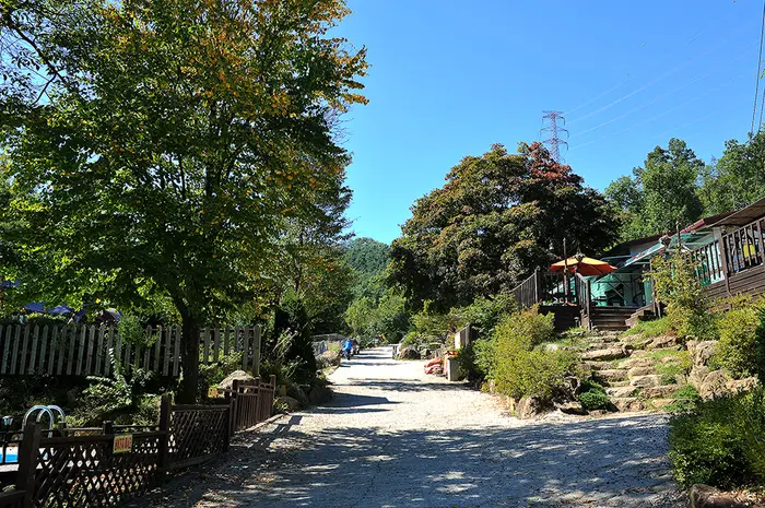 광릉솔개캠핑장 · 레포츠