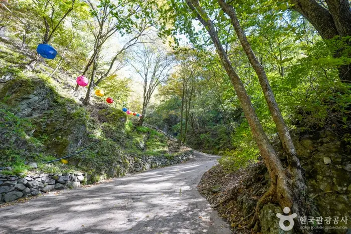 청량산 트레킹 · 레포츠