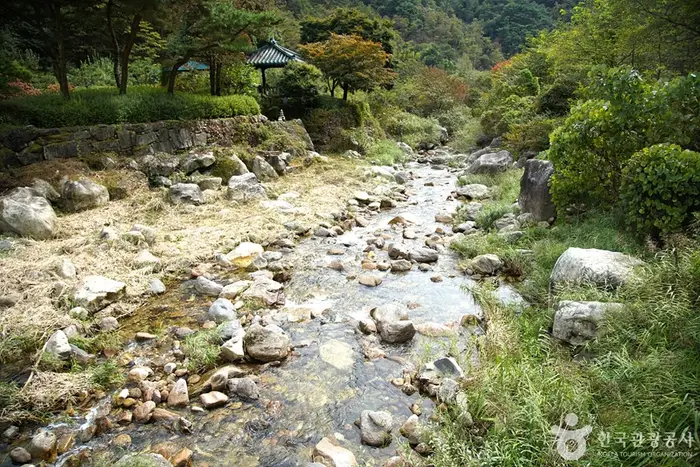 금대계곡 · 관광지