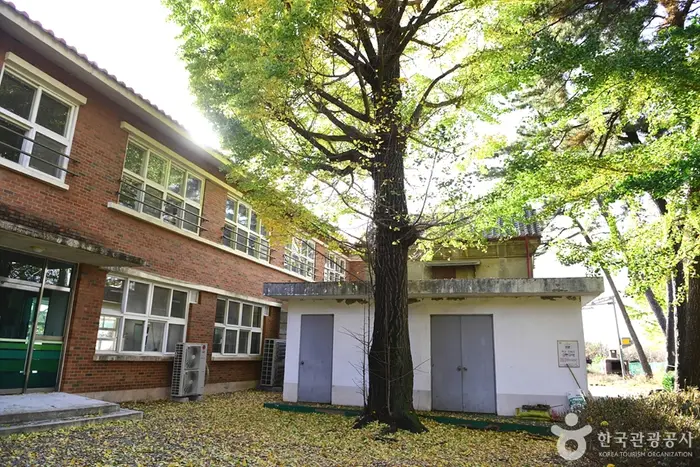 군산 개정면 구 일본인농장 창고 · 관광지