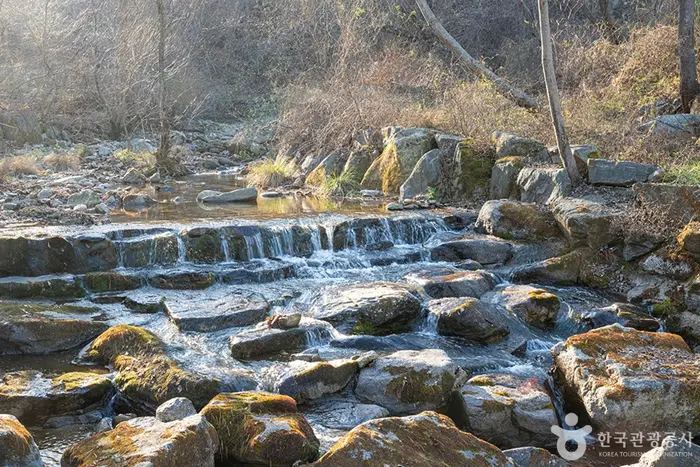 유명산계곡 · 관광지