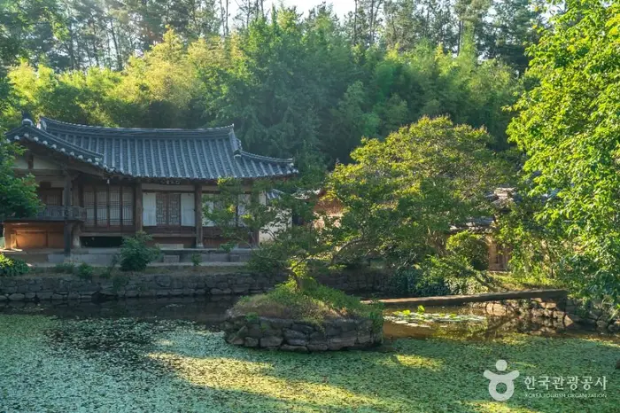 달성 삼가헌 고택 · 관광지