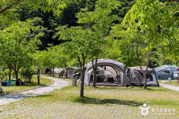 원남테마공원캠핑장 · 레포츠