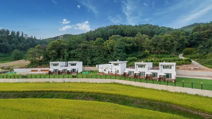 펫티움애견펜션 · 숙박