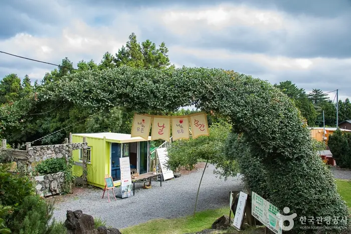 보메와산감귤체험농장 · 관광지