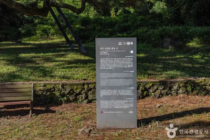 산천단곰솔 · 관광지