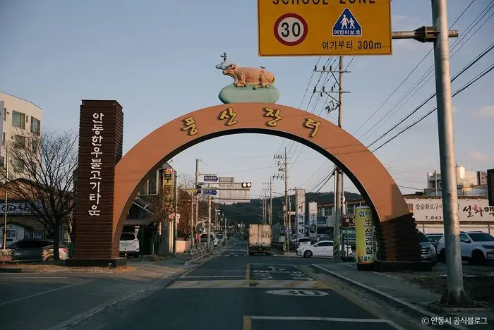 풍산장터 · 쇼핑