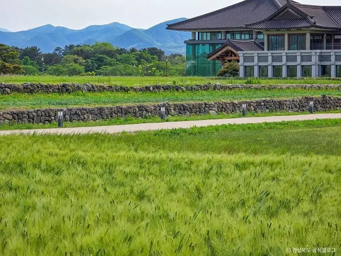 경주 황룡사지 · 관광지