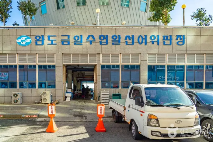 완도 금일 수협활·선어위판장 · 쇼핑