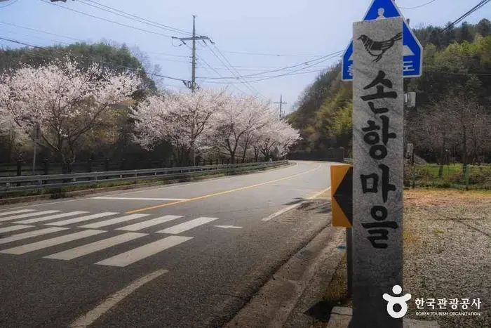 손항마을 · 관광지