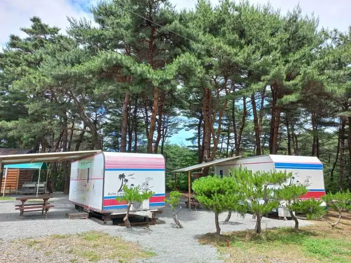 양양 솔바다 캠핑장 · 레포츠