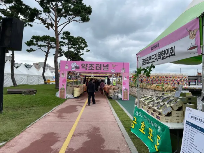 영천한방축제 포스터 사진 7