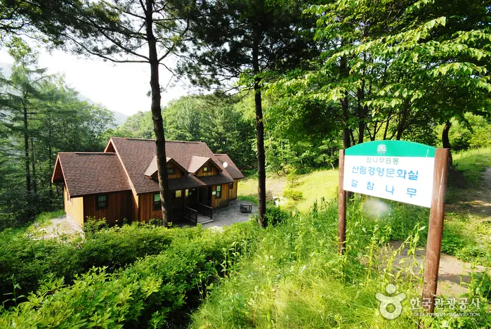 중미산자연휴양림 · 관광지