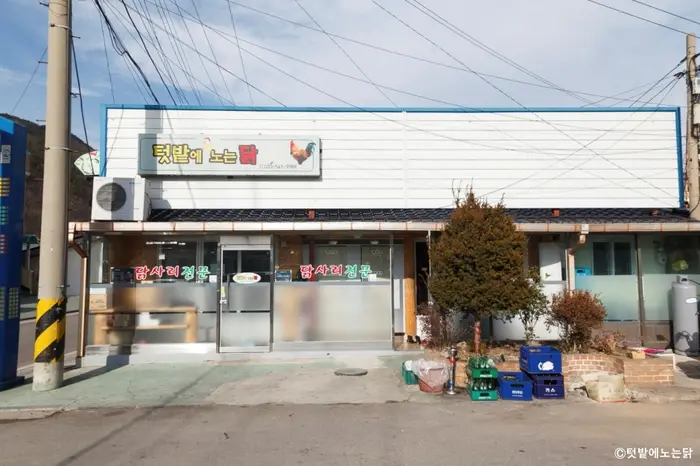 텃밭에노는닭 · 음식점