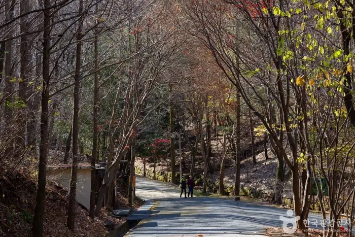 만인산 자연휴양림 · 관광지