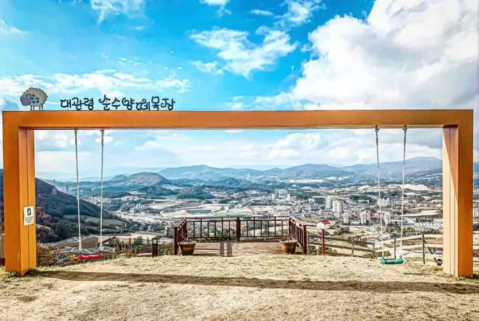 순수 양떼목장 · 관광지
